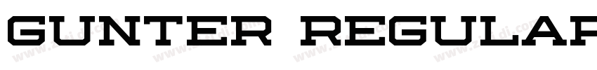 Gunter Regular字体转换 Gunter Regular字体转换